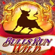 Bulls Run WildRedtiger